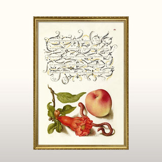 Pomegranate Print | Gold Frame | 70x50 in Homewares from Oriana B. www.orianab.com