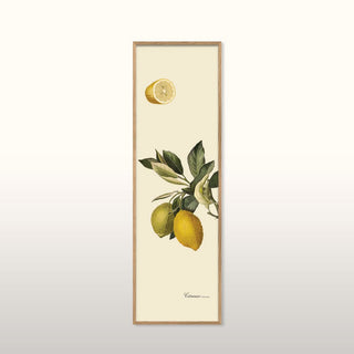 Tall Citrus Print | Oak Frame | 112x35 in Homewares from Oriana B. www.orianab.com