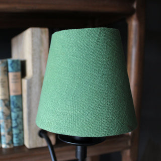 Wooden Bookshelf Lamp with Green Shade in Lighting from Oriana B. www.orianab.com